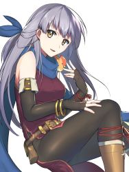 Rule 34 | artist request, bangle, bare shoulders, bird, black gloves, black pantyhose, blue scarf, bracelet, dress, elbow gloves, fingerless gloves, fire emblem, fire emblem: radiant dawn, fire emblem heroes, gloves, half updo, highres, jewelry, long hair, micaiah (fire emblem), nintendo, pantyhose, scarf, side slit, silver hair, simple background, sleeveless, sleeveless dress, smile, solo, white background, yellow eyes, yune (fire emblem)