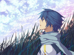 Rule 34 | 1boy, bad id, bad pixiv id, blue eyes, blue hair, day, kaito (vocaloid), male focus, matching hair/eyes, nature, nayu, outdoors, scarf, short hair, sky, solo, vocaloid