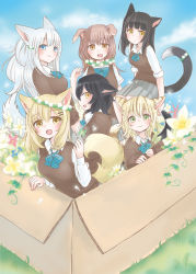 Rule 34 | 6+girls, :d, animal ears, black hair, blonde hair, blue eyes, bow, bowtie, box, brown hair, cardboard box, cat ears, cat tail, clover, commentary request, dog ears, flower, four-leaf clover, fox ears, fox tail, green eyes, head wreath, highres, inutose, long hair, long sleeves, looking at viewer, multicolored hair, multiple girls, open mouth, parted lips, school uniform, short hair, short sleeves, sitting, sleeves past wrists, sleeves rolled up, smile, striped tail, sweater, tail, two-tone hair, white hair, wreath, yellow eyes