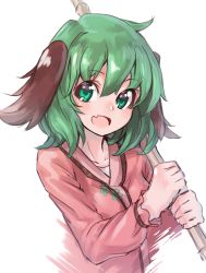 Rule 34 | 1girl, :d, absurdres, animal ears, blush, broom, deluxe&lt;&lt;&lt;, dress, fang, green eyes, green hair, highres, kasodani kyouko, long sleeves, looking at viewer, matching hair/eyes, open mouth, pink dress, short hair, simple background, smile, solo, touhou, upper body, white background