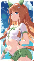 Rule 34 | 1girl, absurdres, adlib, alternate costume, animal ears, blue eyes, blunt bangs, breasts, casual, closed mouth, cloud, collarbone, commentary request, highres, hime cut, horse ears, horse girl, horse tail, long hair, looking at viewer, midriff, navel, panties, shorts, silence suzuka (umamusume), sky, small breasts, smile, solo, summer, swimsuit, tail, umamusume, underwear