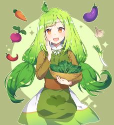 Rule 34 | 1girl, :d, apple, basket, blush, brown eyes, brown shirt, carrot, chili pepper, cookie run, eggplant, food, fruit, garlic, green apple, green hair, green ribbon, hand up, highres, holding, holding basket, kaoling, long hair, long sleeves, looking at viewer, low twintails, neck ribbon, open mouth, radish, ribbon, shirt, skirt, smile, solo, sparkle, spinach cookie, spring onion, twintails, two-tone background, very long hair, white skirt