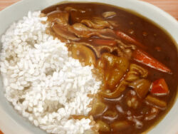 Rule 34 | curry, curry rice, food, food focus, no humans, original, plate, rice, th6313