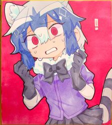Rule 34 | !, 1girl, @ @, animal ear fluff, animal ears, bad id, bad twitter id, black gloves, black skirt, blue hair, commentary request, common raccoon (kemono friends), cowboy shot, frown, fur collar, gloves, hair between eyes, highres, inactive account, jmeysan, kemono friends, looking at viewer, multicolored hair, nervous, nervous sweating, open mouth, pleated skirt, purple shirt, raccoon ears, raccoon tail, red background, red eyes, shikishi, shirt, short hair, short sleeves, skirt, solo, standing, striped tail, sweat, tail, traditional media, white hair