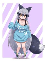 Rule 34 | 1girl, animal ears, aramaru, baggy clothes, black singlet, blue shirt, breasts, cleavage, cosplay, extra ears, fox ears, fox girl, fox tail, grey hair, highres, kemono friends, kemono friends 3, large breasts, looking at viewer, loose clothes, loose shirt, off shoulder, oversized clothes, oversized shirt, shirt, silver fox (kemono friends), sleeves past fingers, sleeves past wrists, solo, t-shirt, tail, white lion (kemono friends), white lion (kemono friends) (cosplay)