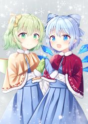 Rule 34 | 2girls, :d, alternate costume, bad id, bad pixiv id, blue eyes, blue hair, blue mittens, blue vest, capelet, cirno, commentary request, cowboy shot, daiyousei, fairy wings, fur-trimmed capelet, fur trim, green eyes, green hair, green mittens, grey background, hair between eyes, hair ribbon, highres, holding hands, long sleeves, looking at viewer, mittens, multiple girls, nibosi, open mouth, partial commentary, pink capelet, pleated skirt, red capelet, ribbon, shirt, short hair, side ponytail, skirt, smile, snowflake background, standing, star (symbol), starry background, touhou, vest, white shirt, wings