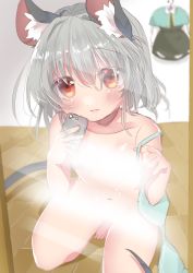 Rule 34 | 1girl, absurdres, animal ear fluff, animal ears, ashino chimado, blue bra, blue capelet, blush, bra, unworn bra, capelet, capelet removed, cellphone, cleft of venus, closed mouth, commentary request, dress, unworn dress, flat chest, full body, grey dress, grey hair, hair between eyes, highres, holding, holding bra, holding clothes, holding phone, holding underwear, light censor, long sleeves, looking at viewer, mirror, mouse ears, mouse girl, mouse tail, navel, nazrin, phone, pussy, red eyes, selfie, shirt, short hair, solo, squatting, tail, touhou, underwear, white shirt, wooden floor