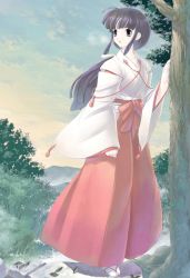 Rule 34 | 1girl, blue eyes, blue hair, forest, japanese clothes, long hair, long sleeves, looking away, miko, nature, open mouth, original, ponytail, ribbon-trimmed sleeves, ribbon trim, sandals, smile, solo, sunset, tree, uchiu kazuma, wide sleeves