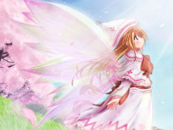 Rule 34 | 1girl, blonde hair, bow, bowtie, cherry blossoms, day, dress, duplicate, fairy, fairy wings, female focus, hat, light rays, lily white, long sleeves, looking afar, looking up, outdoors, petals, red bow, red bowtie, scarlet (studioscr), solo, standing, sunlight, tate eboshi, touhou, white dress, wind, wings
