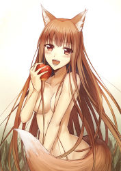 Rule 34 | 1girl, alternate breast size, animal ears, apple, blush, breasts, brown eyes, brown hair, cleavage, food, fruit, hair over breasts, highres, holding, holding food, holding fruit, holo, long hair, looking at viewer, luzi, navel, nude, red eyes, smile, solo, spice and wolf, tail, very long hair, wolf ears, wolf tail