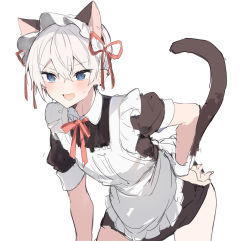 Rule 34 | :d, animal ear fluff, animal ears, apron, black dress, blue eyes, blush, cat ears, cat tail, collared dress, dress, frilled apron, frills, grey hair, hair between eyes, hand on own hip, highres, ikeuchi tanuma, leaning forward, looking at viewer, neck ribbon, open mouth, original, puffy short sleeves, puffy sleeves, red ribbon, ribbon, short sleeves, simple background, smile, standing, sweat, tail, white apron, white background, wrist cuffs