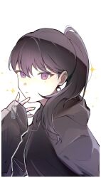 Rule 34 | 1girl, ama (ama83221655), bang dream!, bang dream! it&#039;s mygo!!!!!, black hair, black hoodie, border, commentary, dog tags, hair between eyes, hashtag-only commentary, highres, hood, hood down, hoodie, long hair, long sleeves, looking at viewer, mole, mole under eye, official alternate hairstyle, parted lips, ponytail, purple eyes, shiina taki, simple background, sleeves past wrists, solo, sparkle, white background, white border