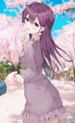 Rule 34 | 1boy, 1girl, absurdres, blue eyes, blurry, blurry background, blush, braid, cherry blossoms, dress, earrings, heterochromia, highres, hand grab, jewelry, long hair, long sleeves, looking at viewer, luxiel, original, outdoors, parted lips, pov, purple dress, purple eyes, purple hair, ring, smile, solo focus