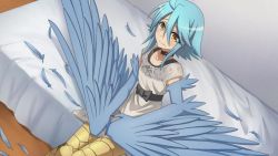 Rule 34 | 1girl, ahoge, artist request, bed, bird legs, black bow, black choker, blue feathers, blue hair, blue wings, blush, bow, choker, dress, feathered wings, feathers, game cg, hair between eyes, harpy, indoors, medium hair, monster girl, monster musume no iru nichijou, monster musume no iru nichijou online, nervous, official alternate costume, official art, on bed, papi (monster musume), scales, sidelocks, sitting, solo, white dress, winged arms, wings, yellow eyes