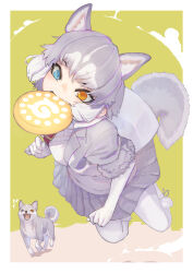 Rule 34 | 1girl, absurdres, animal ears, blue eyes, commentary request, creature and personification, dog, dog (mixed breed) (kemono friends), dog ears, dog girl, dog tail, don3, elbow gloves, extra ears, fang, frisbee, fur trim, gloves, grey fur, grey jacket, grey skirt, harness, heterochromia, highres, jacket, japari symbol, jumping, kemono friends, midair, pantyhose, pleated skirt, short sleeves, skirt, solo, tail, teeth, vest, white gloves, white pantyhose, white vest, yellow eyes
