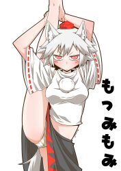 Rule 34 | 1girl, animal ears, black skirt, blush stickers, closed mouth, commentary, cropped shirt, crotch seam, flexible, frown, glaring, grey hair, half-closed eyes, hat, inubashiri momiji, leg hold, leg up, looking at viewer, midriff, miniskirt, orange panties, panties, pom pom (clothes), red eyes, red hat, ribbon-trimmed sleeves, ribbon trim, shirt, short sleeves, simple background, skirt, solo, split, standing, standing on one leg, standing split, striped clothes, striped panties, tail, tokin hat, touhou, twitter username, underwear, white background, white shirt, wolf ears, wolf tail, zannen na hito