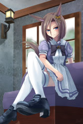 Rule 34 | 1girl, air groove (umamusume), animal ears, black bow, black footwear, blue eyes, blue shirt, blush, bow, brown hair, closed mouth, commentary request, crossed legs, frilled skirt, frills, hair between eyes, horse ears, horse girl, horse tail, loafers, parted bangs, pleated skirt, puffy short sleeves, puffy sleeves, school uniform, shirt, shoe soles, shoes, short sleeves, sitting, skirt, smile, solo, tail, thighhighs, tracen school uniform, umamusume, v-shaped eyebrows, wall lamp, white skirt, white thighhighs, window, yumibakama meme