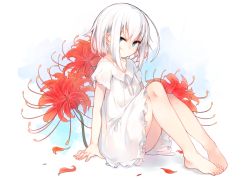 Rule 34 | 1girl, bare legs, barefoot, blue eyes, blush, commentary request, flower, hair between eyes, looking at viewer, nightgown, original, otokuyou, ringo-chan (otokuyou), short hair, sitting, solo, spider lily, white hair
