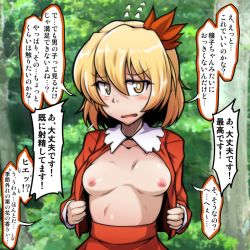 Rule 34 | 1girl, aki shizuha, blonde hair, breasts, bright pupils, collarbone, commentary request, day, flying sweatdrops, furrowed brow, hair between eyes, hair ornament, jacket, long sleeves, looking at viewer, medium hair, midori niku, nipples, open clothes, open jacket, outdoors, skirt, small breasts, solo, stomach, sweat, touhou, translation request, upper body, white pupils