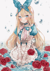 Rule 34 | 1girl, alice (grimlight), apron, artist name, bandaged arm, bandages, bandaid, bandaid on hand, blonde hair, blue bow, blue bowtie, blue choker, blue dress, blue eyes, blue hairband, blurry, blush, bow, bowtie, breasts, butterfly hair ornament, butterfly wings, choker, collared dress, dress, eyes visible through hair, fang, flower, frills, grey apron, grey bow, grimlight, hair between eyes, hair ornament, hairband, heart, heart in eye, highres, insect wings, long hair, looking to the side, medium breasts, multicolored bow, multicolored bowtie, multicolored eyes, myaco9, open mouth, pink bow, pink bowtie, pink eyes, puffy short sleeves, puffy sleeves, red flower, red rose, rose, seiza, short sleeves, sitting, solo, sparkle, sparkle print, star (symbol), star print, striped bow, striped bowtie, striped clothes, symbol in eye, water, water drop, white background, wings