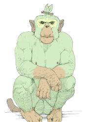 Rule 34 | black eyes, chimpanzee, closed mouth, creatures (company), crossed arms, game freak, gen 8 pokemon, grookey, in tree, large testicles, leaf, looking at viewer, male focus, monkey, nintendo, no humans, photo-referenced, pokemon, pokemon (creature), realistic, signature, simple background, sir (artist), sitting, sitting in tree, solo, testicles, tree, white background