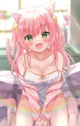 Rule 34 | 1girl, absurdres, animal ears, blush, breasts, cat ears, cleavage, flower, green eyes, hair ornament, hamico, highres, indoors, jacket, large breasts, long hair, looking at viewer, open mouth, original, pink hair, pink legwear, shirt, sitting, smile, sunlight, thighs, two side up, wariza, white shirt