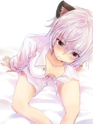 Rule 34 | 10s, 1girl, animal ears, arm support, blush, breasts, brown eyes, cleavage, fang, female focus, from above, highres, killing bites, legs folded, looking at viewer, looking up, medium breasts, nyaa (nnekoron), open clothes, pov, shirt, sitting, solo, uzaki hitomi, white hair