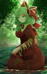 Rule 34 | 1girl, arano oki, breasts, clothes lift, commentary request, day, dress, forest, from side, front ponytail, green eyes, green hair, hair ribbon, highres, kagiyama hina, large breasts, leaf, lifting own clothes, long hair, looking to the side, maple leaf, nature, outdoors, partial commentary, puffy short sleeves, puffy sleeves, red dress, ribbon, short sleeves, skirt, skirt lift, smile, solo, standing, touhou, very long hair, wading, water, wrist ribbon