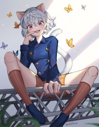 Rule 34 | 1girl, animal ears, blush, breasts, buchu, bug, butterfly, cat ears, cat tail, curly hair, hunter x hunter, bug, looking at viewer, neferpitou, open mouth, other focus, short hair, silver hair, smile, solo, tail