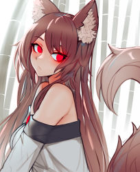 Rule 34 | 1girl, animal ear fluff, animal ears, bare shoulders, brown hair, commentary, dress, ehrrr, highres, imaizumi kagerou, long hair, looking at viewer, off-shoulder dress, off shoulder, red eyes, solo, tail, touhou, upper body, very long hair, white dress, wolf ears, wolf tail