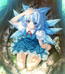 Rule 34 | 1girl, barefoot, blue dress, blue eyes, blue hair, bow, breasts, cirno, dress, ichio, matching hair/eyes, ribbon, short hair, sitting, solo, tears, embodiment of scarlet devil, touhou, tree, wings