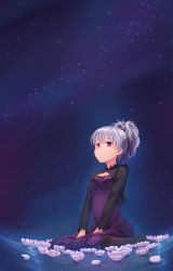 Rule 34 | 1girl, absurdres, black pantyhose, blush, breasts, cleavage, cleavage cutout, closed mouth, clothing cutout, darker than black, grey hair, highres, kamille (vcx68), long sleeves, medium breasts, night, night sky, outdoors, pantyhose, purple eyes, short hair, short ponytail, sitting, sky, solo, star (sky), starry sky, wariza, yin (darker than black)