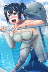 Rule 34 | 10s, 1girl, animal, bestiality, bikini, bikini pull, blue eyes, blue hair, blush, breasts, clothes pull, cum, cum in pussy, daiwa (daicon), day, dolphin, fucked silly, hair ribbon, highres, kantai collection, large breasts, medium breasts, nipples, open mouth, partially submerged, penis, plump, ribbon, rolling eyes, short hair, short twintails, sleeeepers high, souryuu (kancolle), speed lines, swimsuit, tongue, tongue out, torogao, twintails, water, water tank