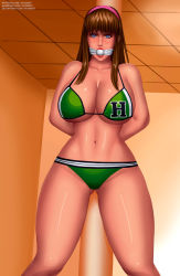 Rule 34 | 1girl, breasts, brown hair, dead or alive, highres, hitomi (doa), huge breasts, solo, svoidist