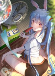 Rule 34 | 1girl, :d, animal ears, bare legs, black shorts, blue hair, blush, breasts, byoko (byokoramen), carrot hair ornament, film grain, food, food-themed hair ornament, from above, hair between eyes, hair ornament, hand fan, highres, hololive, long hair, looking at viewer, looking back, multicolored hair, noise, open mouth, orange eyes, outdoors, popsicle, rabbit ears, shirt, short shorts, shorts, sitting, small breasts, smile, solo, thick eyebrows, twintails, two-tone hair, usada pekora, very long hair, virtual youtuber, white shirt, wooden floor
