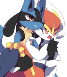 Rule 34 | animal ears, blue fur, blush, bright pupils, brown eyes, rabbit ears, rabbit tail, carrying, cinderace, clenched teeth, creatures (company), furry, game freak, gen 4 pokemon, gen 8 pokemon, highres, lucario, nintendo, open mouth, pokemon, pokemon (creature), princess carry, simple background, syuya, tail, teeth, white background, white fur, white pupils, wolf ears