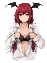 Rule 34 | 1girl, bad id, bad twitter id, bat wings, black bra, bra, breasts, cleavage, collarbone, dress shirt, eyebrows, head wings, highres, koakuma, koretsuki aduma, open clothes, open shirt, pointy ears, red eyes, red hair, shirt, simple background, sketch, solo, touhou, underwear, upper body, white background, wings