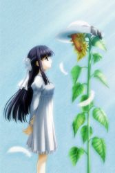 Rule 34 | 00s, 1girl, black hair, flower, game cg, hat, long hair, nanao naru, ribbon, shirakawa sayaka, standing, suika (visual novel), sunflower