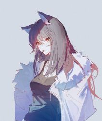 Rule 34 | 1girl, animal ears, arknights, black hair, black tank top, breasts, ear piercing, fang, food, food in mouth, fur-trimmed jacket, fur trim, grey background, he yi bei cha, jacket, long hair, looking at viewer, mouth hold, multicolored hair, open clothes, open jacket, open mouth, piercing, pocky, red hair, simple background, small breasts, solo, streaked hair, tank top, texas (arknights), two-tone hair, upper body, white jacket, wolf ears, wolf girl, yellow eyes