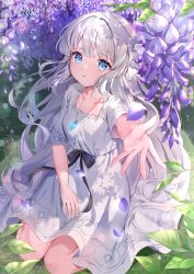 Rule 34 | 1girl, absurdres, blue eyes, blush, breasts, collarbone, dress, ender lilies quietus of the knights, fingernails, flower, gem, grass, hair intakes, highres, lavender (flower), leaf, lily (ender lilies), long hair, looking at viewer, open mouth, ranchan12, reaching, reaching towards viewer, ribbon, shadow, small breasts, very long hair, white dress, white hair