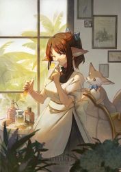 Rule 34 | 1girl, animal, animal ears, arknights, artist name, blue bow, bottle, bow, brown hair, chinese commentary, commentary request, dress, envelope, fennec fox, fox ears, hair bow, highres, holding, inuko (redconstellation), long hair, looking at viewer, obi, perfume bottle, perfumer (arknights), picture frame, plant, ponytail, sash, sidelocks, smile, solo, striped, striped bow, vial, white dress, white sash, window, yellow eyes