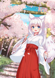 Rule 34 | 1girl, :d, absurdres, animal ears, blue sky, bow, branch, breasts, cloud, commentary request, day, flower, fox ears, fox girl, fox tail, hair between eyes, hakama, hakama skirt, highres, hip vent, japanese clothes, kimono, long hair, long sleeves, looking at viewer, miko, open mouth, original, outdoors, petals, pink flower, red bow, red hakama, rodo (oekakisyakaijin), skirt, sky, small breasts, smile, solo, stairs, stone stairs, tail, tree, very long hair, white hair, white kimono, wide sleeves