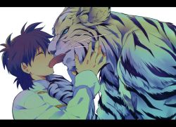 Rule 34 | 1boy, animal, black hair, blue eyes, blush, chinese clothes, closed eyes, dragon ball, dragonball z, framed, happy, letterboxed, long sleeves, male focus, rochiko (bgl6751010), shirt, short hair, simple background, smile, son goten, tiger, tongue, tongue out, white background, white shirt