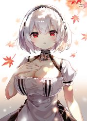 Rule 34 | 1girl, anchor choker, apron, autumn leaves, azur lane, breasts, cleavage, detached collar, dress, frilled dress, frills, fujii shino, hair between eyes, hairband, hand on own chest, highres, large breasts, leaf, looking at viewer, maple leaf, red eyes, short hair, short sleeves, sirius (azur lane), solo, upper body, white apron, white dress, white hair
