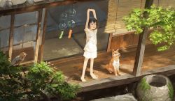 Rule 34 | 1girl, architecture, arms up, bird, black eyes, black hair, blouse, dog, east asian architecture, fjsmu, highres, long hair, looking away, open mouth, original, scenery, shirt, smile, sparrow, stretching, tree, veranda, white shirt, wind chime
