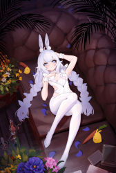 Rule 34 | + +, 1girl, absurdres, animal ears, azur lane, blue eyes, blush, book, braid, breasts, candle, candlestand, carrot, chinese commentary, choker, closed mouth, commentary request, couch, eimea, expressionless, fake animal ears, flower, flower pot, full body, hairband, high heels, highres, knees up, le malin (azur lane), le malin (listless lapin) (azur lane), leotard, looking at viewer, low twin braids, lying, manjuu (azur lane), o-ring, o-ring choker, official alternate costume, on back, on couch, pantyhose, petals, plant, playboy bunny, potted plant, rabbit ears, silver hair, small breasts, solo, thigh strap, twin braids, white footwear, white leotard, white pantyhose, wrist cuffs