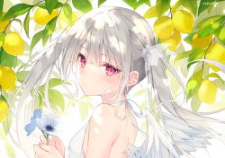 Rule 34 | 1girl, bare shoulders, blue flower, commentary request, dress, feathered wings, flower, food, fruit, hair between eyes, holding, holding flower, lemon, long hair, mini wings, original, red eyes, rurudo, see-through, silver hair, sleeveless, sleeveless dress, solo, twintails, upper body, very long hair, white dress, white flower, white wings, wings
