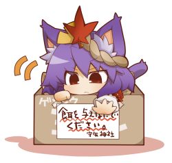 Rule 34 | 1girl, :&lt;, animal ears, box, cardboard box, cat ears, cat girl, cat tail, female focus, for adoption, gurageida, in box, in container, kemonomimi mode, leaf, maple leaf, outstretched hand, purple hair, red eyes, solo, tail, touhou, translation request, white background, yasaka kanako