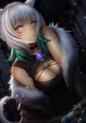 Rule 34 | 1girl, animal ears, arm support, bare shoulders, blind, bood, book, book stack, bookshelf, breasts, brooch, cat ears, cat girl, cat tail, choker, cleavage, cleavage cutout, clothing cutout, coat, dress, dutch angle, facial mark, feather hair ornament, feathers, final fantasy, final fantasy xiv, fur trim, grey eyes, grey hair, hair ornament, jewelry, leaning forward, medium breasts, medium hair, miqo&#039;te, off shoulder, paid reward available, parted lips, sleeveless, sleeveless dress, solo, tail, tan, watermark, web address, whisker markings, y&#039;shtola rhul