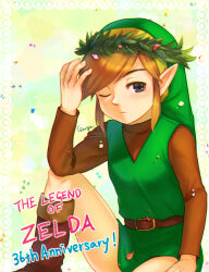 Rule 34 | 1boy, anniversary, belt, black eyes, brown belt, brown footwear, brown hair, brown shirt, closed mouth, confetti, copyright name, eyelashes, green tunic, head wreath, highres, link, long sleeves, male focus, nintendo, one eye closed, pointy ears, sangachie, shirt, short hair, sidelocks, signature, sitting, solo, the legend of zelda, the legend of zelda (nes)